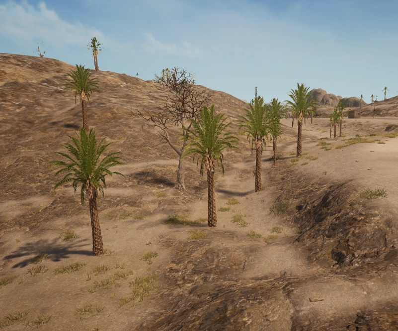 Guess the location on the PUBG Miramar map